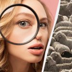 100 kişiden yalnızca üçte biri resimdeki tüm köpekleri 12 saniyede