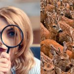 11 saniyede geyiklerin arasında üç keçi bulmanız gerekiyor: çok zor