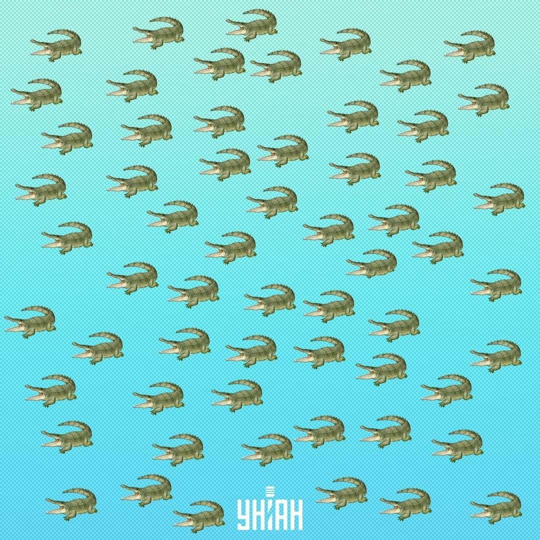 Sürüngen saklandı ama 15 saniye içinde görülmesi gerekiyor / Kolaj Moje