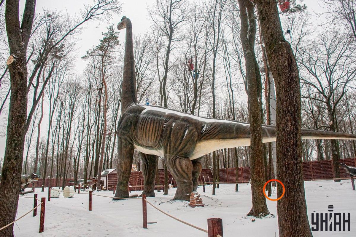 Köpek resmin/kolajın sol alt köşesine yakındı Moje