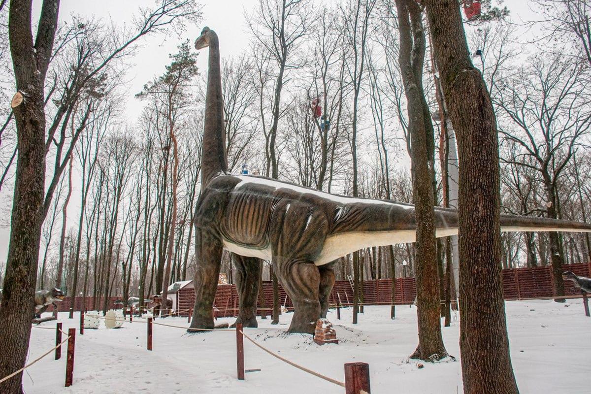 10 saniyede kar arasında bir köpek bulun / Moje kolajı