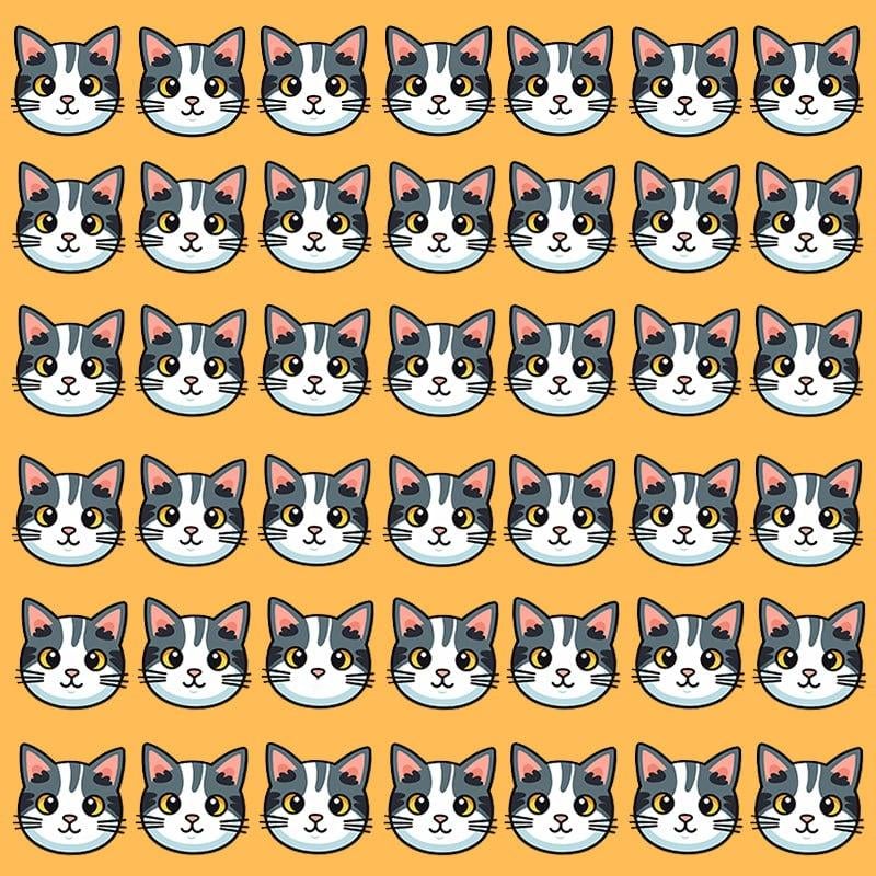 Bu optik yanılsama yalnızca mükemmel IQ'ya / imaja sahip kişiler için mümkündür Moje