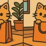 IQ testi: 45 saniyede sevimli bir kedinin resmindeki 3 farkı