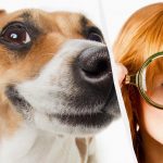 Sadece gerçek bir IQ titanı kardaki bir köpeği 10 saniye